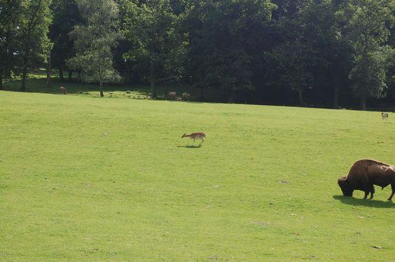 DSC_0068 [50%] [50%].JPG